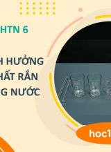 Các yếu tố ảnh hưởng đến lượng chất rắn hòa tan trong nước - KHTN 6 -  Hoc10